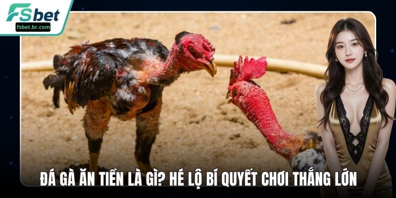 Đá Gà Ăn Tiền Là Gì? Hé Lộ Bí Quyết Chơi Thắng Lớn