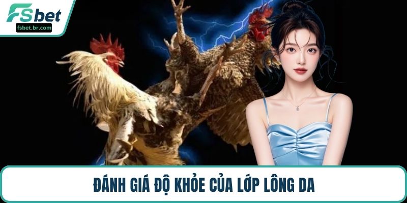 Đánh giá độ khỏe của lớp lông da