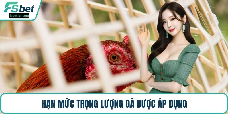 Hạn mức trọng lượng gà được áp dụng
