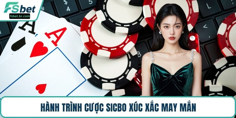 Hành trình cược sicbo xúc xắc may mắn