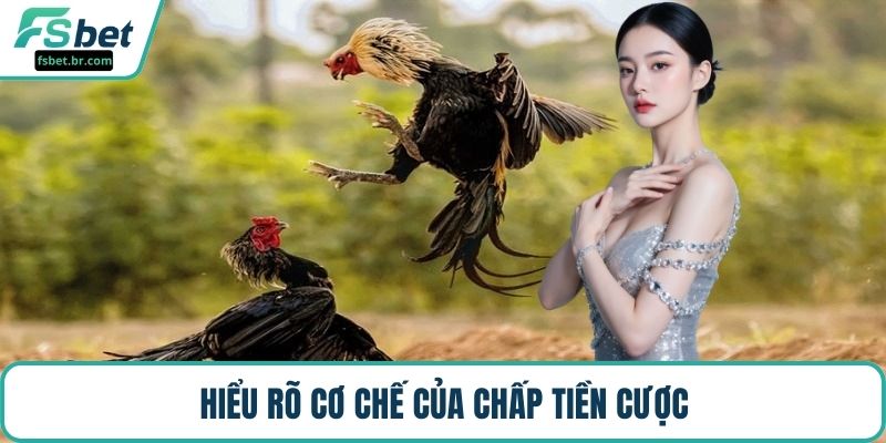Hiểu rõ cơ chế của chấp tiền cược