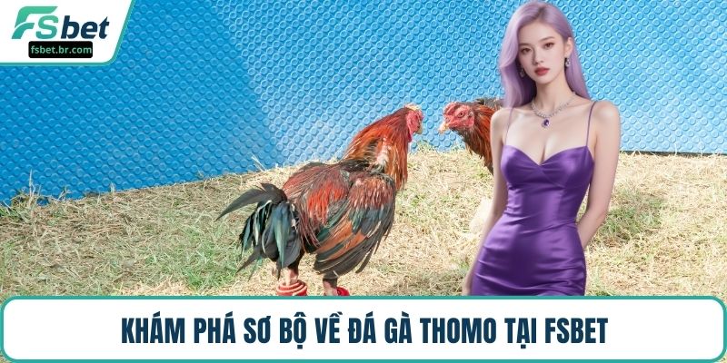 Khám phá sơ bộ về đá gà Thomo tại FSBET