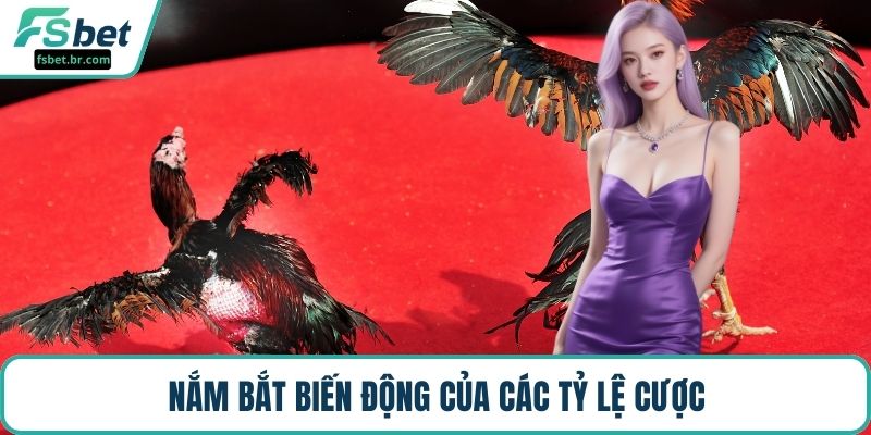 Nắm bắt biến động của các tỷ lệ cược