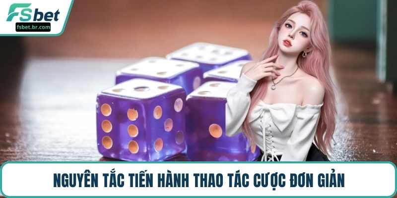 Nguyên tắc tiến hành thao tác cược đơn giản