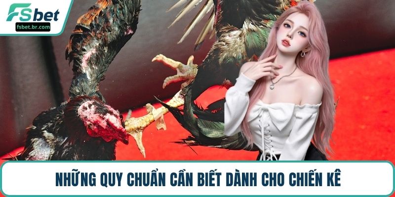 Những quy chuẩn cần biết dành cho chiến kê