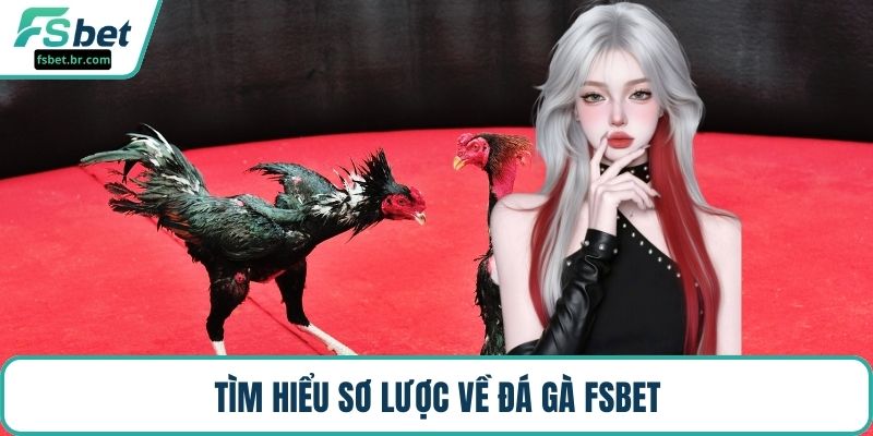 Tìm hiểu sơ lược về đá gà FSBET