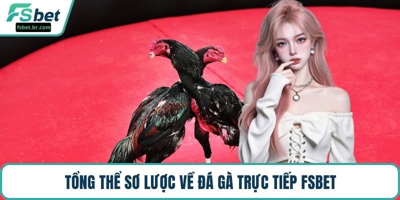 Tổng thể sơ lược về đá gà trực tiếp FSBET